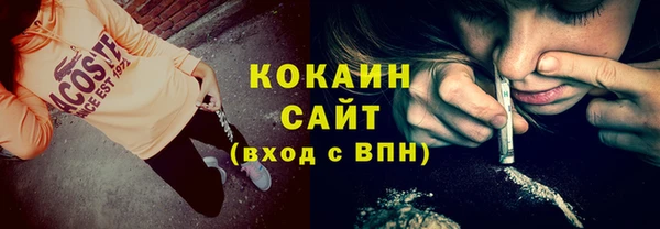 крисы Липки