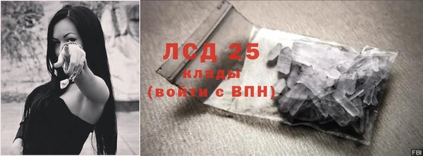 крисы Липки