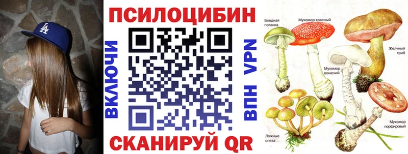 shop наркотические препараты  Астрахань  omg рабочий сайт  Псилоцибиновые грибы Psilocybe  купить наркотик 